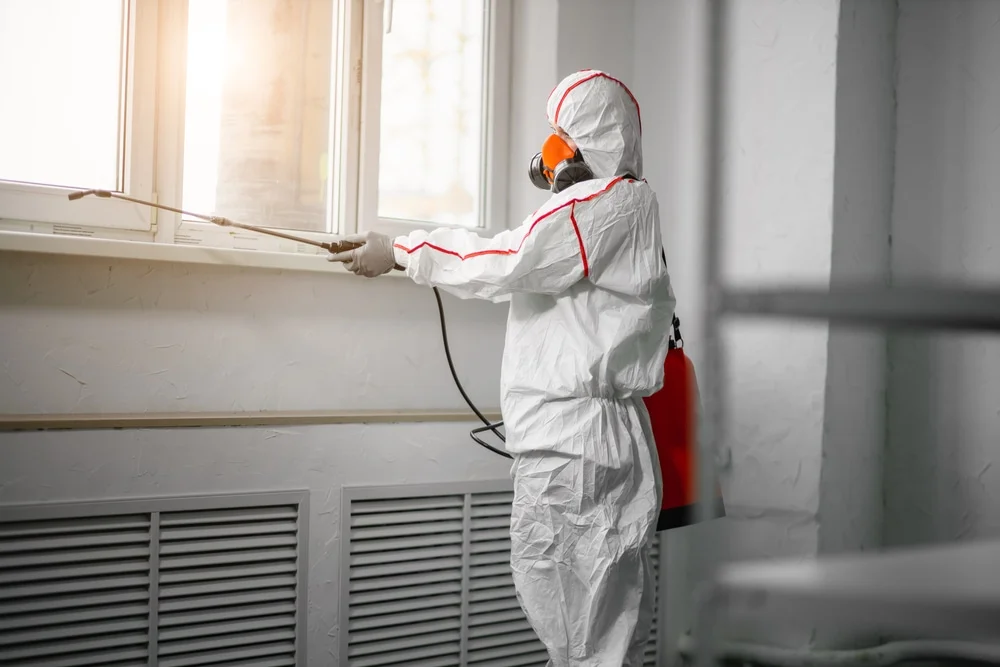 Professional mold remediation services in Forsyth, GA